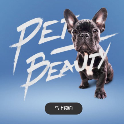 遵义市宠物中心小程序开发