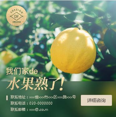 遵义市果园果林小程序开发